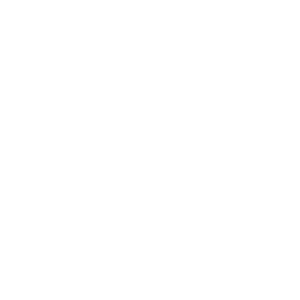 Black Horse Marketing Services