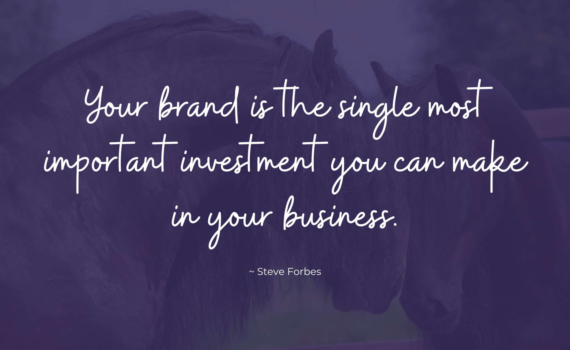 Your brand is the most important investment
