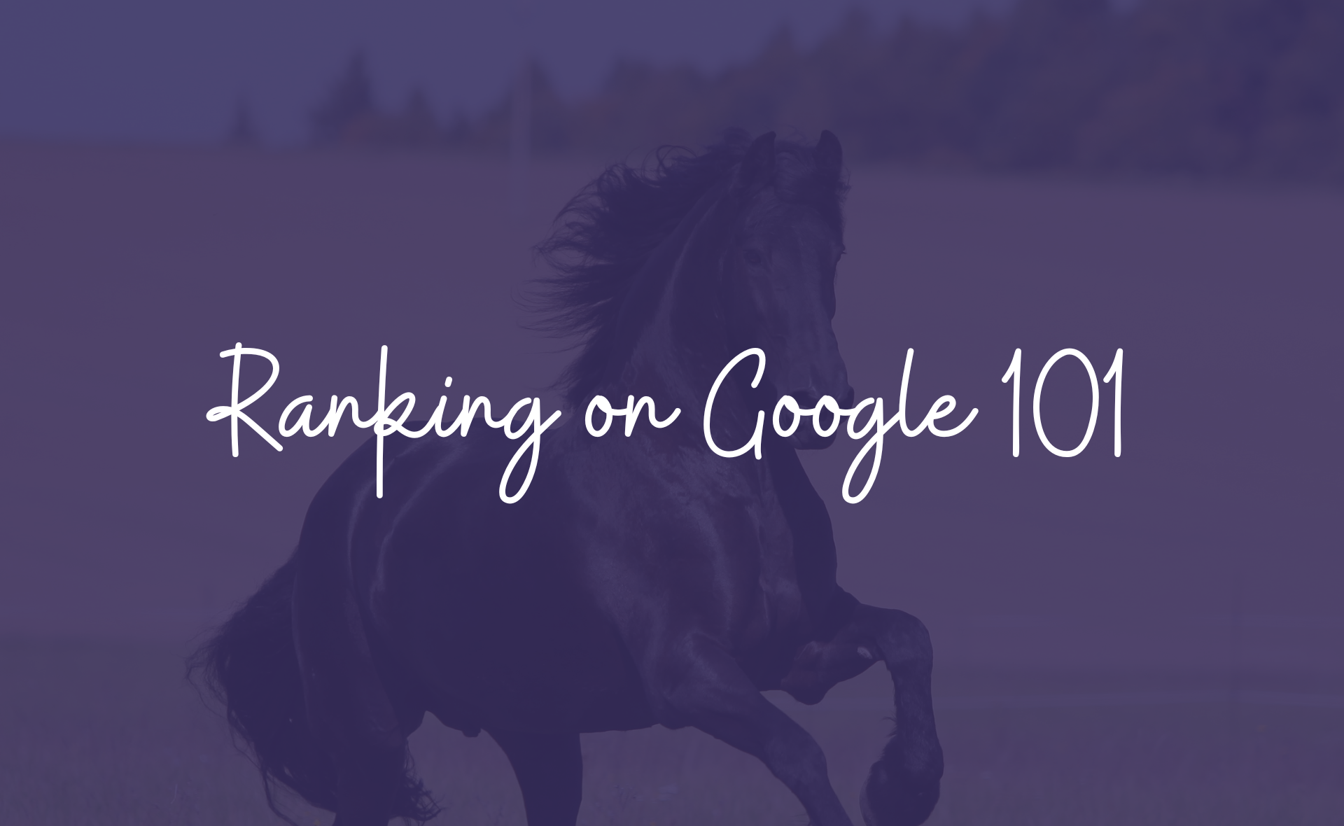 ranking on google